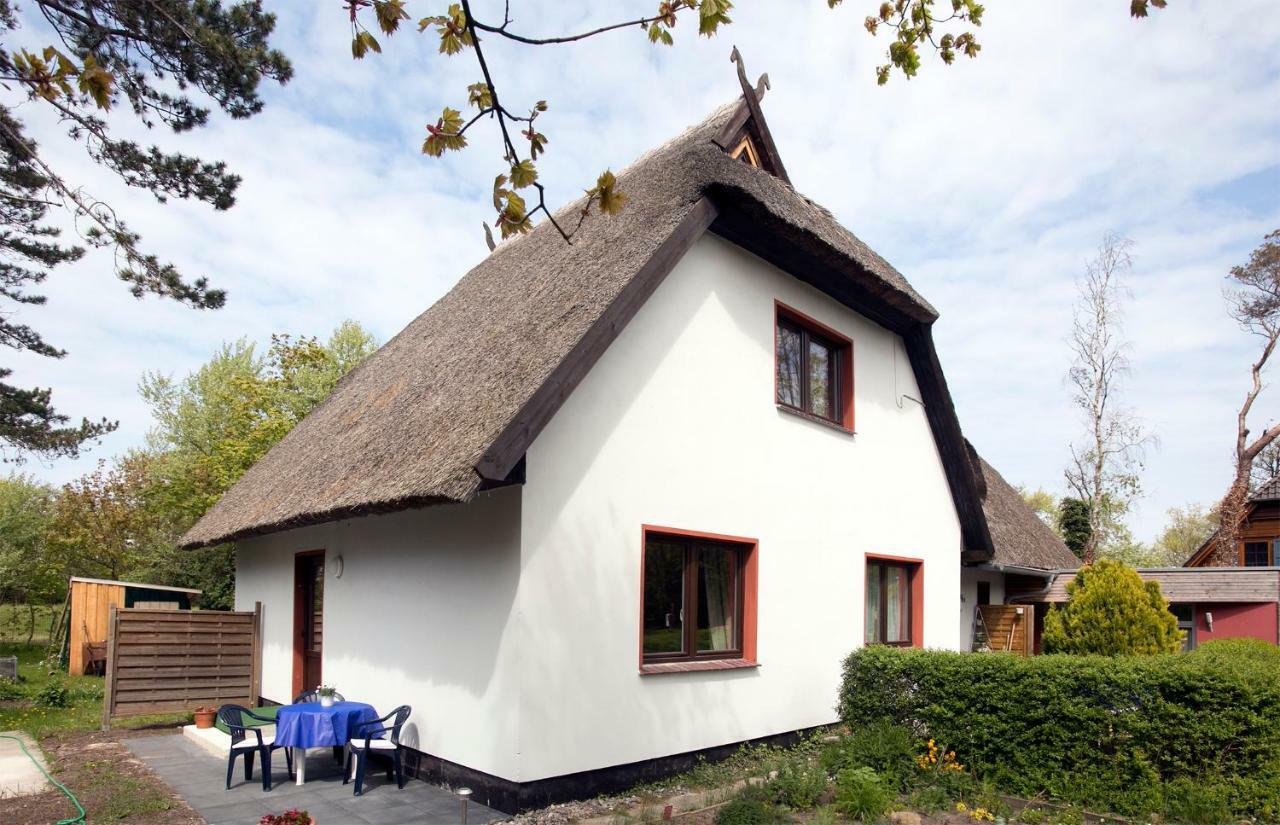 Meerzeit Apartment Ahrenshoop